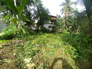 ( IS-1115) Valuable Residential Bare Land for Sale in Homagama Godagam