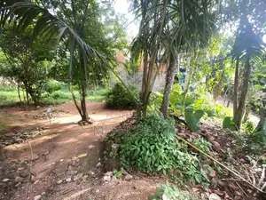 ( IS-1116) Valuable Residential Bare Land Sale in Homagama Godagama