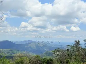 Haputale Tourism Land for Sale in Beragala Belt