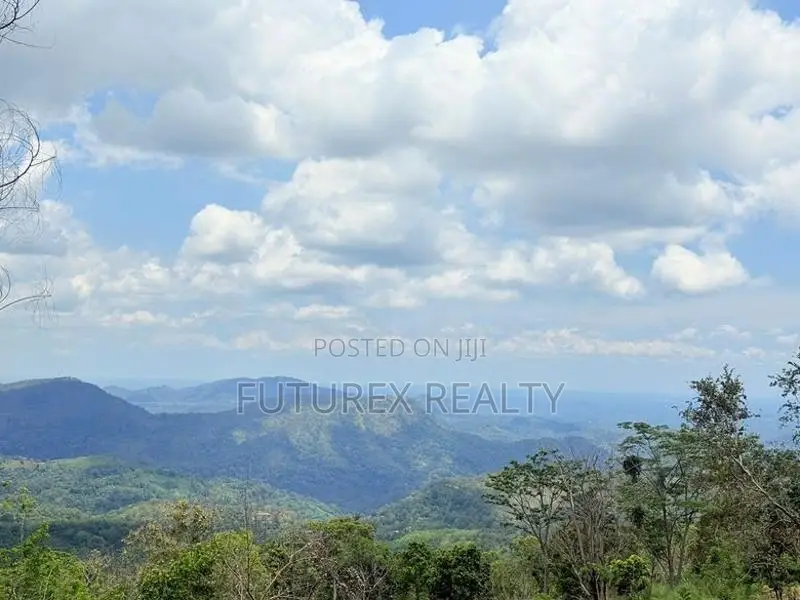 Haputale Tourism Land for Sale in Beragala Belt