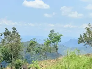 Haputale Tourism Land for Sale in Beragala Belt