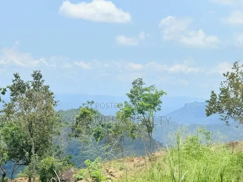 Haputale Tourism Land for Sale in Beragala Belt