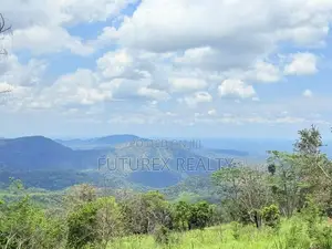 Haputale Tourism Land for Sale in Beragala Belt