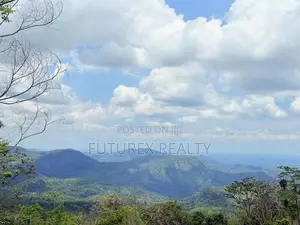 Haputale Tourism Land for Sale in Beragala Belt