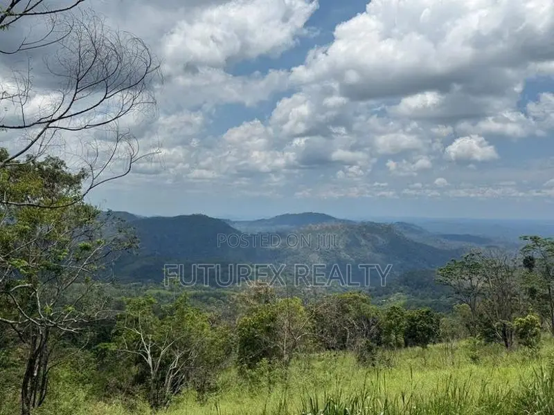Haputale Tourism Land for Sale in Beragala Belt