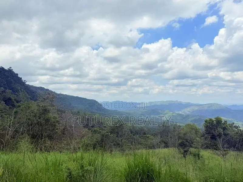 Haputale Tourism Land for Sale in Beragala Belt