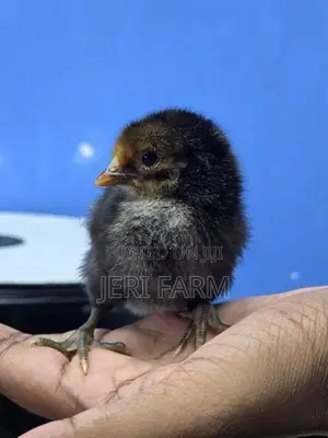 Sonali Chicken