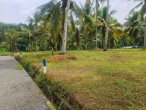 ඉඩම් රදාවන