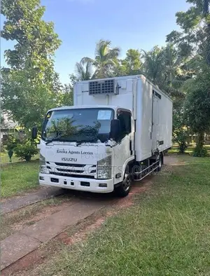 Isuzu Elf Unr18½ Freezer lorry 2018