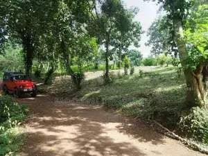 Land for Sale in Matale