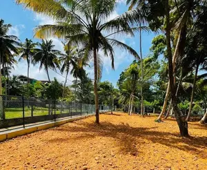 මිදිගම සර්ෆින් බීච් එකට 70M දුරින් පිහිටි වටිනා ඉඩමක්