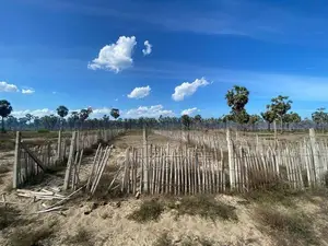 20 Perch Land for Sale Punnakuda Batticaloa