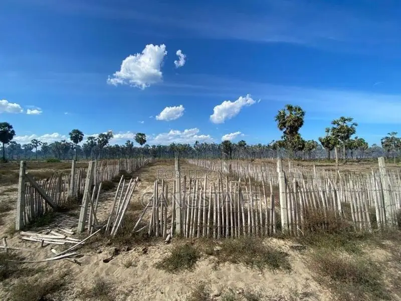 20 Perch Land for Sale Punnakuda Batticaloa
