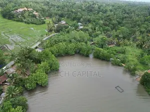 Most Valuable In Koggala