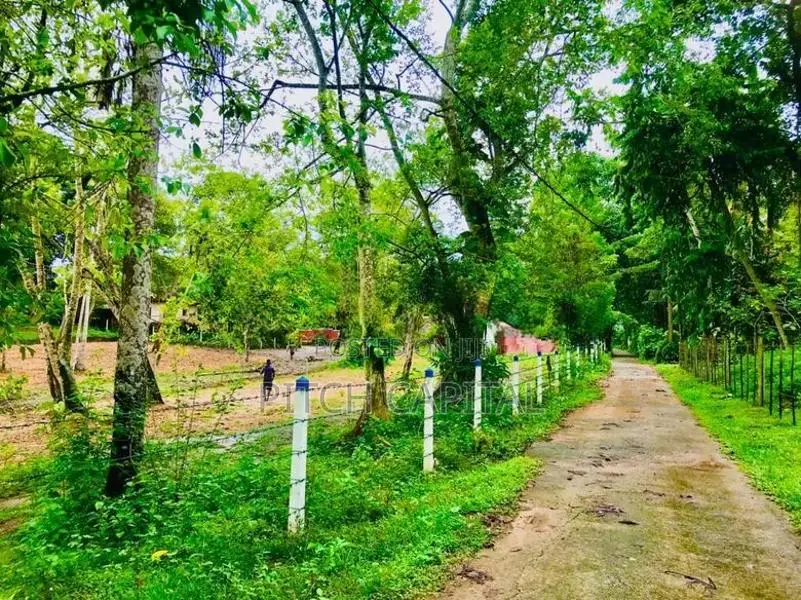 Most Valuable In Koggala