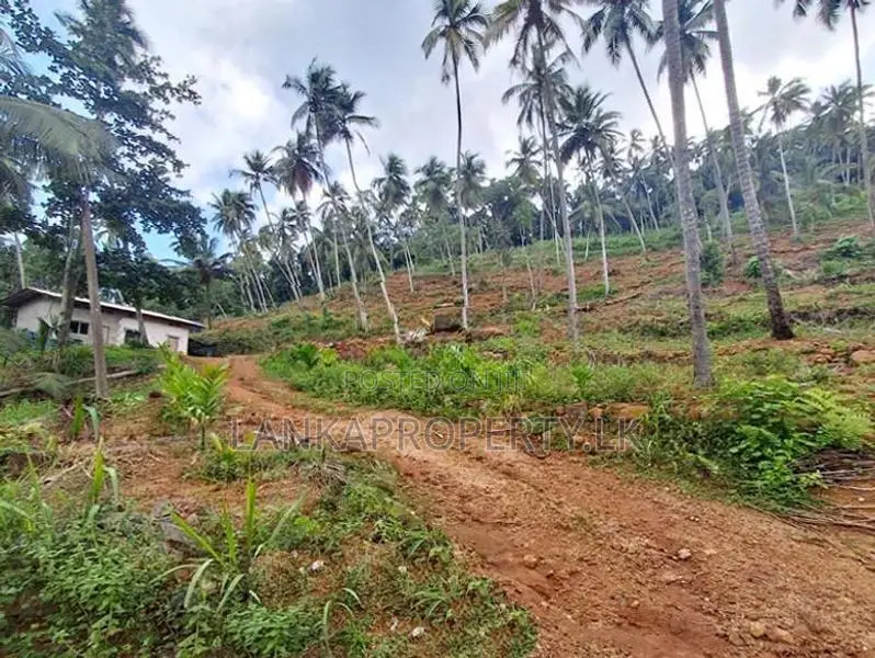 7 Acres Land for Sale in Mirigama