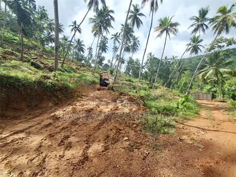7 Acres Land for Sale in Mirigama