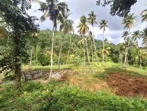 7 Acres Land for Sale in Mirigama
