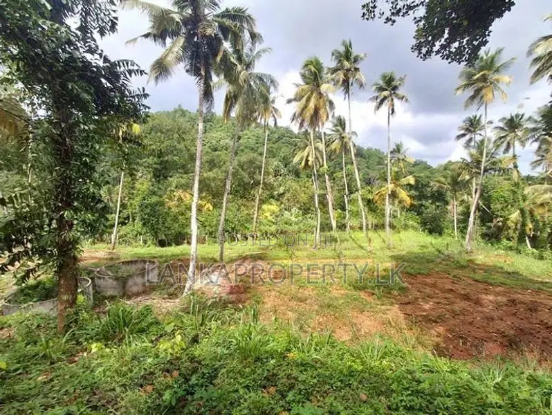 7 Acres Land for Sale in Mirigama