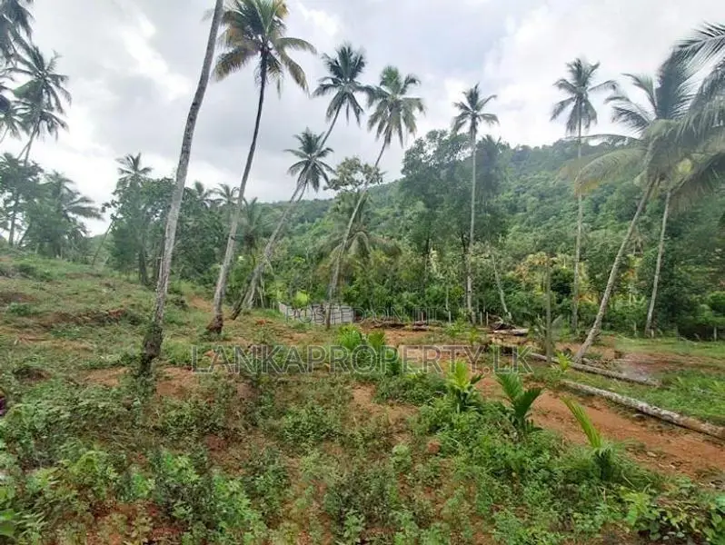 7 Acres Land for Sale in Mirigama