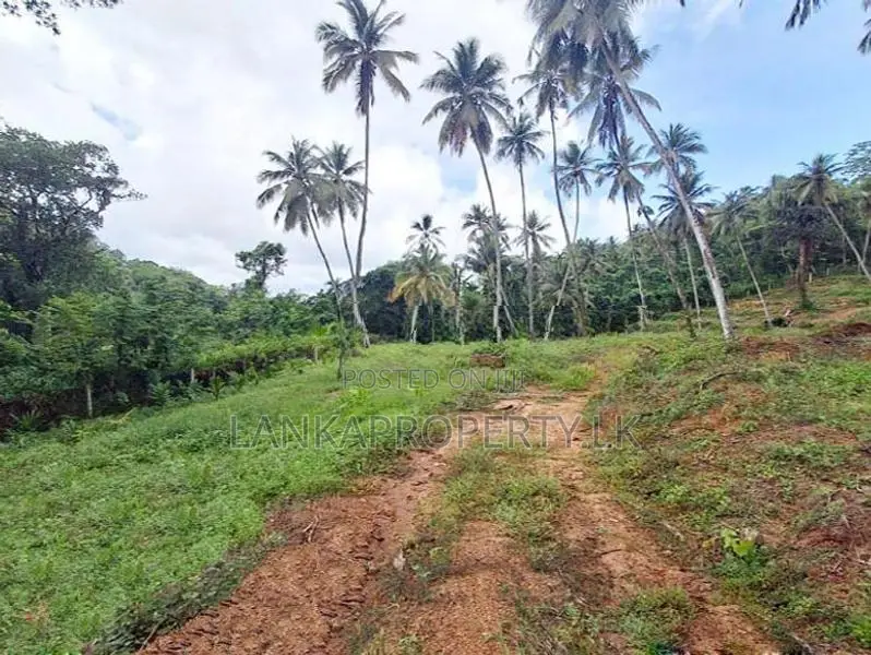 7 Acres Land for Sale in Mirigama