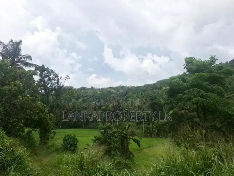 7 Acres Land for Sale in Mirigama