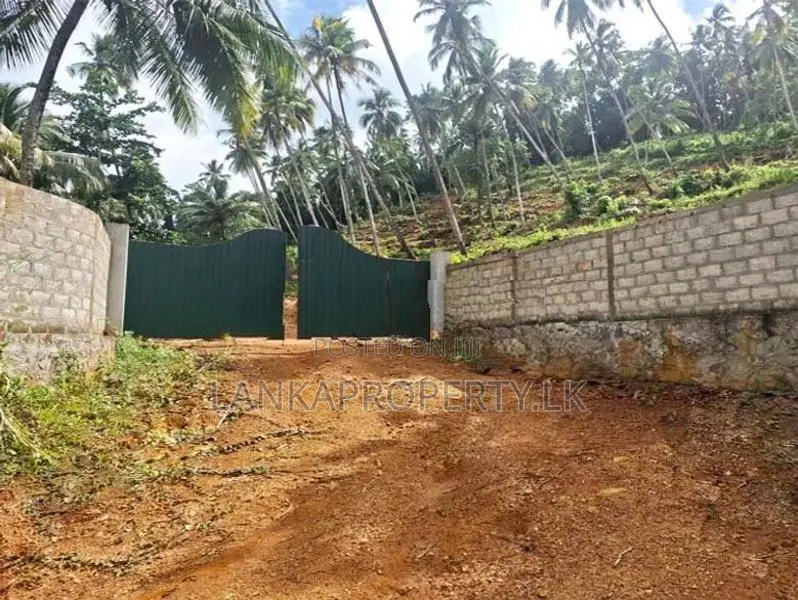 7 Acres Land for Sale in Mirigama