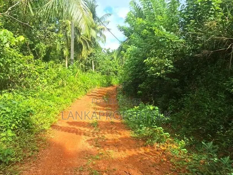 7 Acres Land for Sale in Mirigama