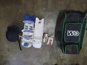 Cricket Set