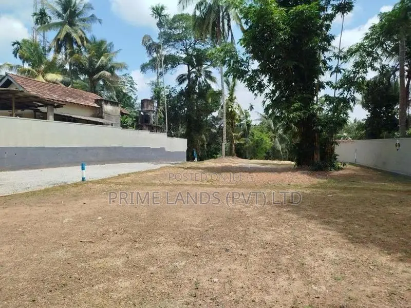 හෝමාගම බිම් කොටස් විකිණීමට