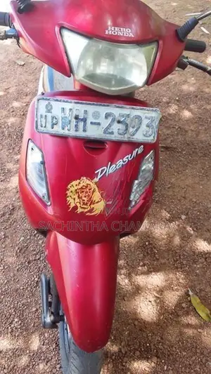 Hero Pleasure 2011