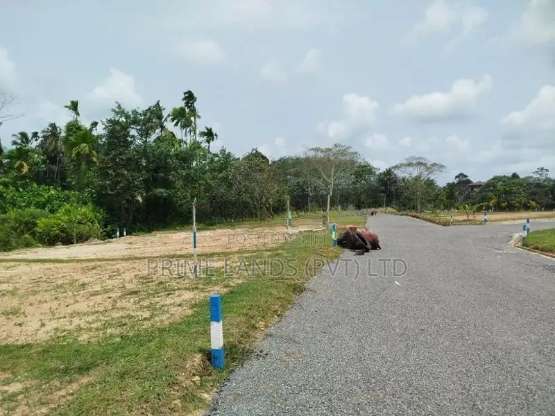 හෝමාගම බෙරුකැටිය බිම් කොටස් විකිණීමට