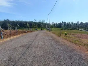 අළුත්ගම වැලිපැන්නෙන් බිම්කොටස්