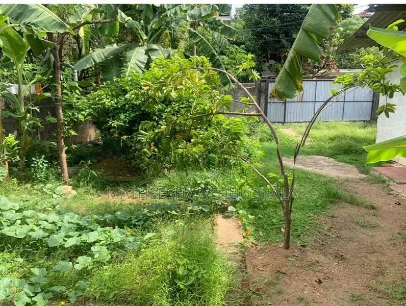 රාජගිරියට 3Km නුදුරින් නිස්කලංක පරිසරයක ඇති පර්චස් 6.15 ඉඩම