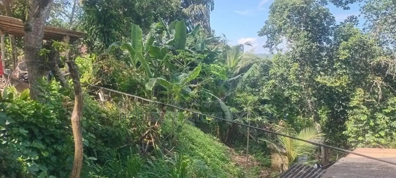 Spacious House with Scenic Paddy for Sale Totagoda