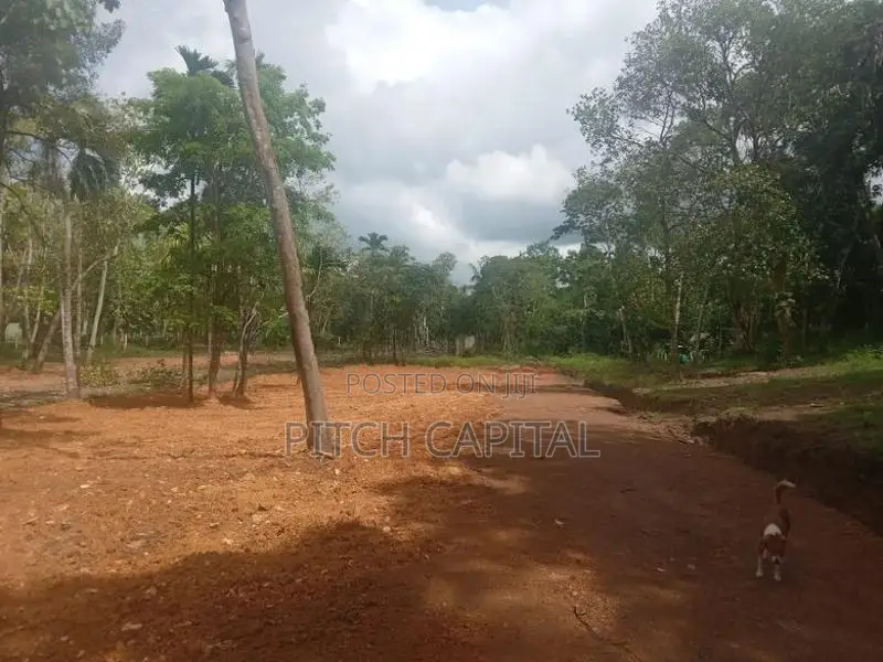 කොග්ගල වැව ලඟින් ඉඩම්
