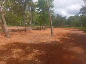 කොග්ගල වැව ලඟින් ඉඩම්