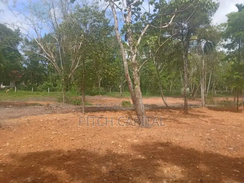 කොග්ගල වැව ලඟින් ඉඩම්