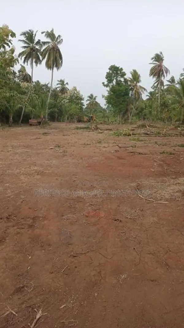 සින්නක්කර ඉඩමක් පෙරිමියන්කුලම