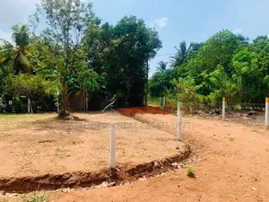 සින්නක්කර ඉඩමක් යාපනය පාරට ලගින්ම
