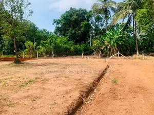 සින්නක්කර ඉඩමක් යාපනය පාරට ලගින්ම
