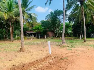 සින්නක්කර ඉඩමක් යාපනය පාරට ලගින්ම