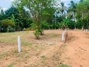 සින්නක්කර ඉඩමක් යාපනය පාරට ලගින්ම