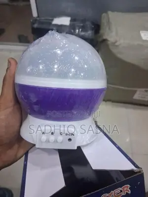 Projection Lamp