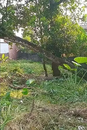 8P, 9.4P & 17.4P Prime Residential Lands For Sale In Pannipitiya