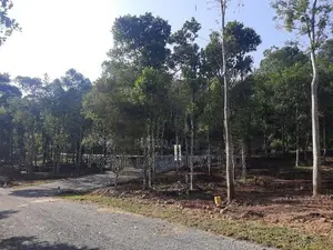 Land for Sale Kandy
