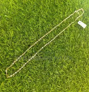 Silver Chain 200MG