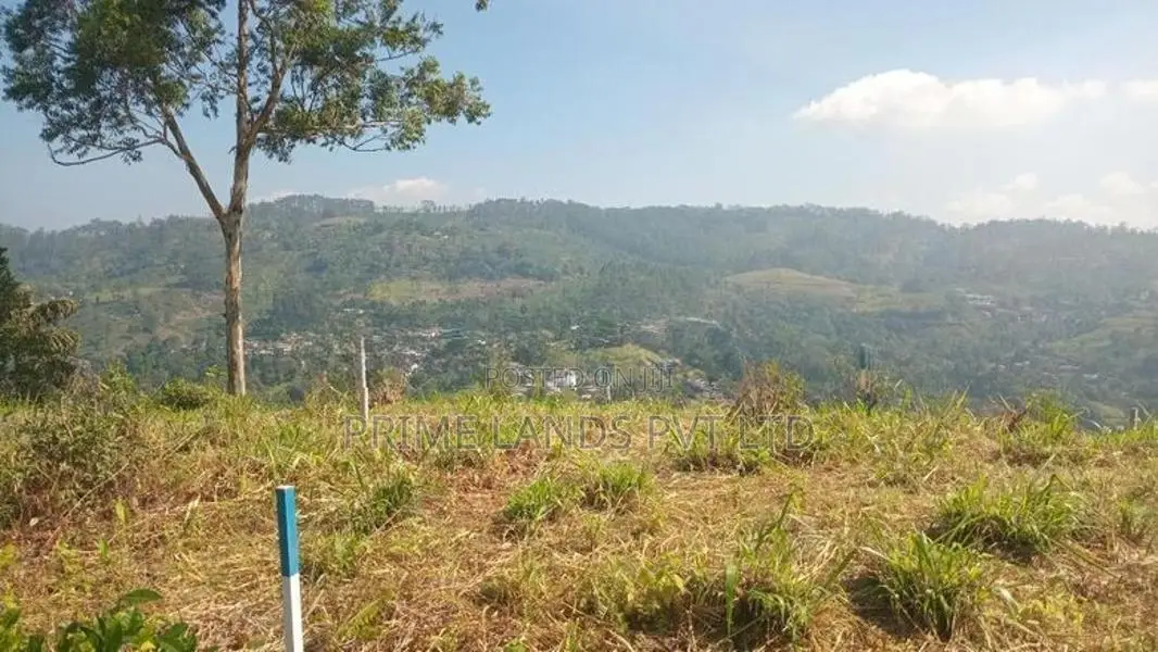 Land for Sale Pussellawa