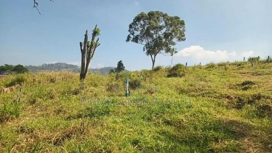 Land for Sale Pussellawa