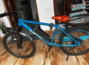 electric bicycle